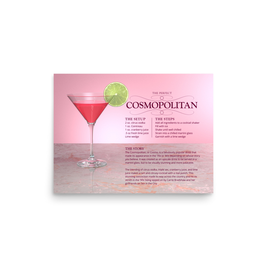 The Perfect Cosmopolitan (Poster)